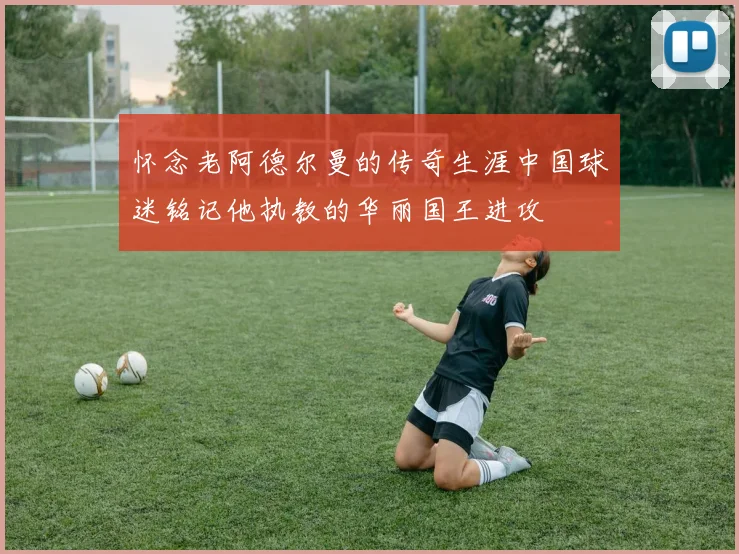 怀念老阿德尔曼的传奇生涯中国球迷铭记他执教的华丽国王进攻